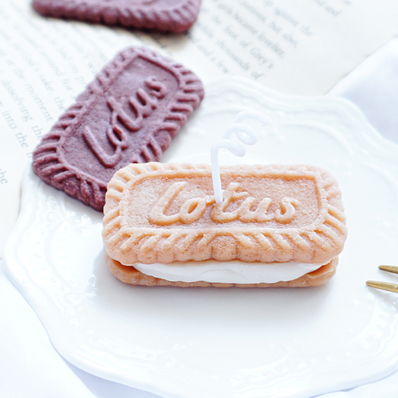 DIY Biscuit Shape Candle Silic - đánh giá và giá Candle Making Jelly